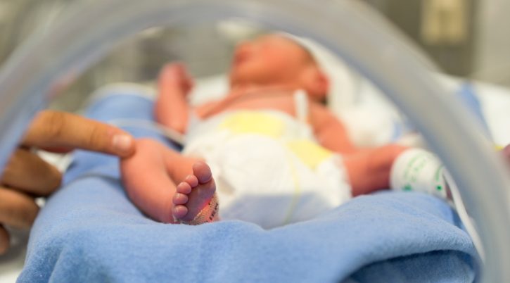 {{brizy_dc_image_alt entityId=