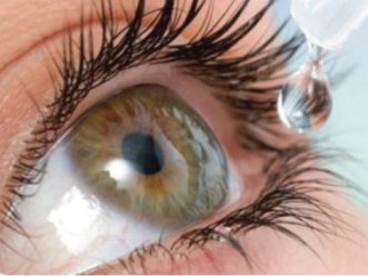 {{brizy_dc_image_alt entityId=