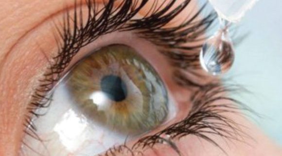 {{brizy_dc_image_alt entityId=