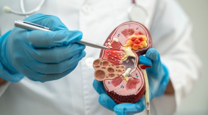 {{brizy_dc_image_alt entityId=