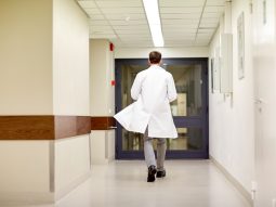 {{brizy_dc_image_alt entityId=