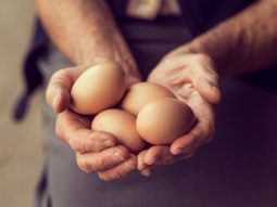 {{brizy_dc_image_alt entityId=