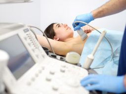 {{brizy_dc_image_alt entityId=