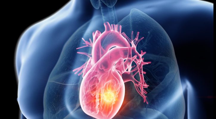 {{brizy_dc_image_alt entityId=