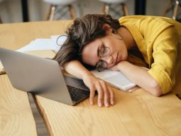 {{brizy_dc_image_alt entityId=